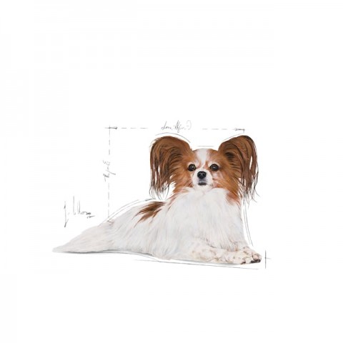 Royal Canin X-Small Adult Küçük Irk Yetişkin Köpek Maması 1,5 Kg