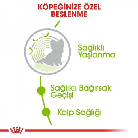 Royal Canin X-Small Adult Küçük Irk Yetişkin Köpek Maması 1,5 Kg