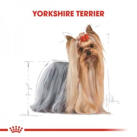 Royal Canin Yorkshire Terrier Adult Köpek Maması - 1,5 Kg