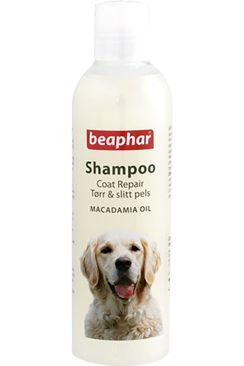 Sampuan Kopek Macademıaoz.250Ml