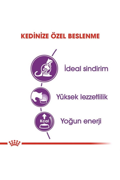 Sensible 33 Kedi 15 Kg 1 Adet
