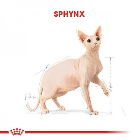 Sphynx Özel Irk Yetişkin Kedi Maması 2 kg