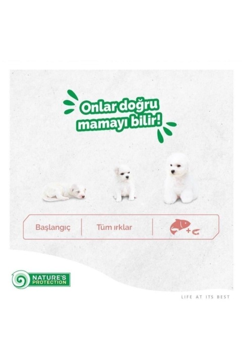 Natures Protection Superior Care White Dogs Tahılsız Alabalıklı Yetişkin Beyaz Köpek Maması 10+2 Kg