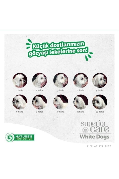 Natures Protection Superior Care White Dogs Glutensiz Kuzu Etli Yetişkin Köpek Maması 10kg