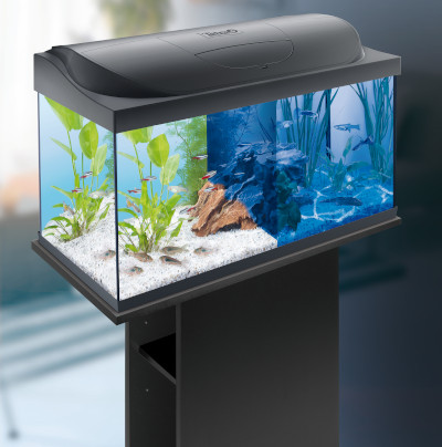 TETRA STARTER LINE LED 54L AKV 54L (DAY/LUNAR) AKVARYUM