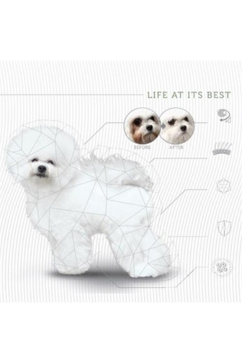 Natures Protection Superior Care White Dogs Tahılsız Alabalıklı Yetişkin Beyaz Köpek Maması 10 Kg