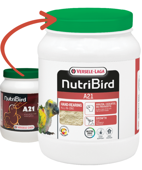 Versele Laga Nutribird A21 Yavru Elle Besleme Maması 800 Gr
