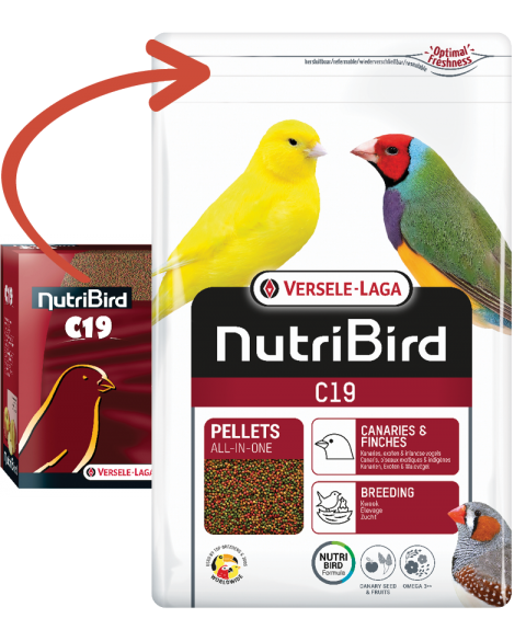 Versele Laga Nutribird C19 Pelet Finch Kanarya Yemi 10 Kg