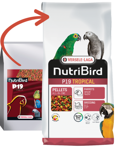Versele Laga Nutribird P19 Tropical Pelet Papağan Yemi 10 Kg