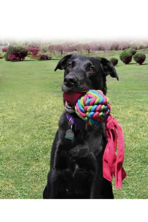 Kong Wubba Weaves Sesli Köpek Oyuncağı L 34cm