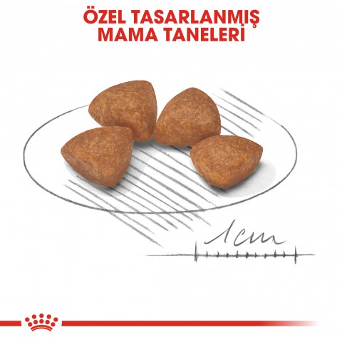 Royal Canin X-Small Puppy Küçük Irk Yavru Köpek Maması 500 Gr