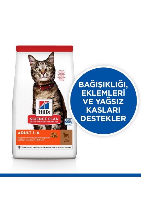 Hill's Kuzulu 3 Kg Yetişkin Kuru Kedi Maması