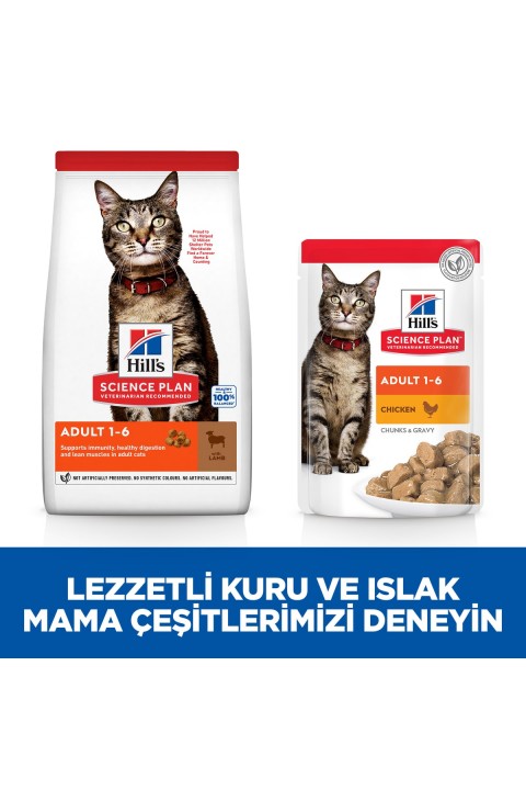 Hill's SP Kuzulu Yetişkin Kedi Maması 3Kg